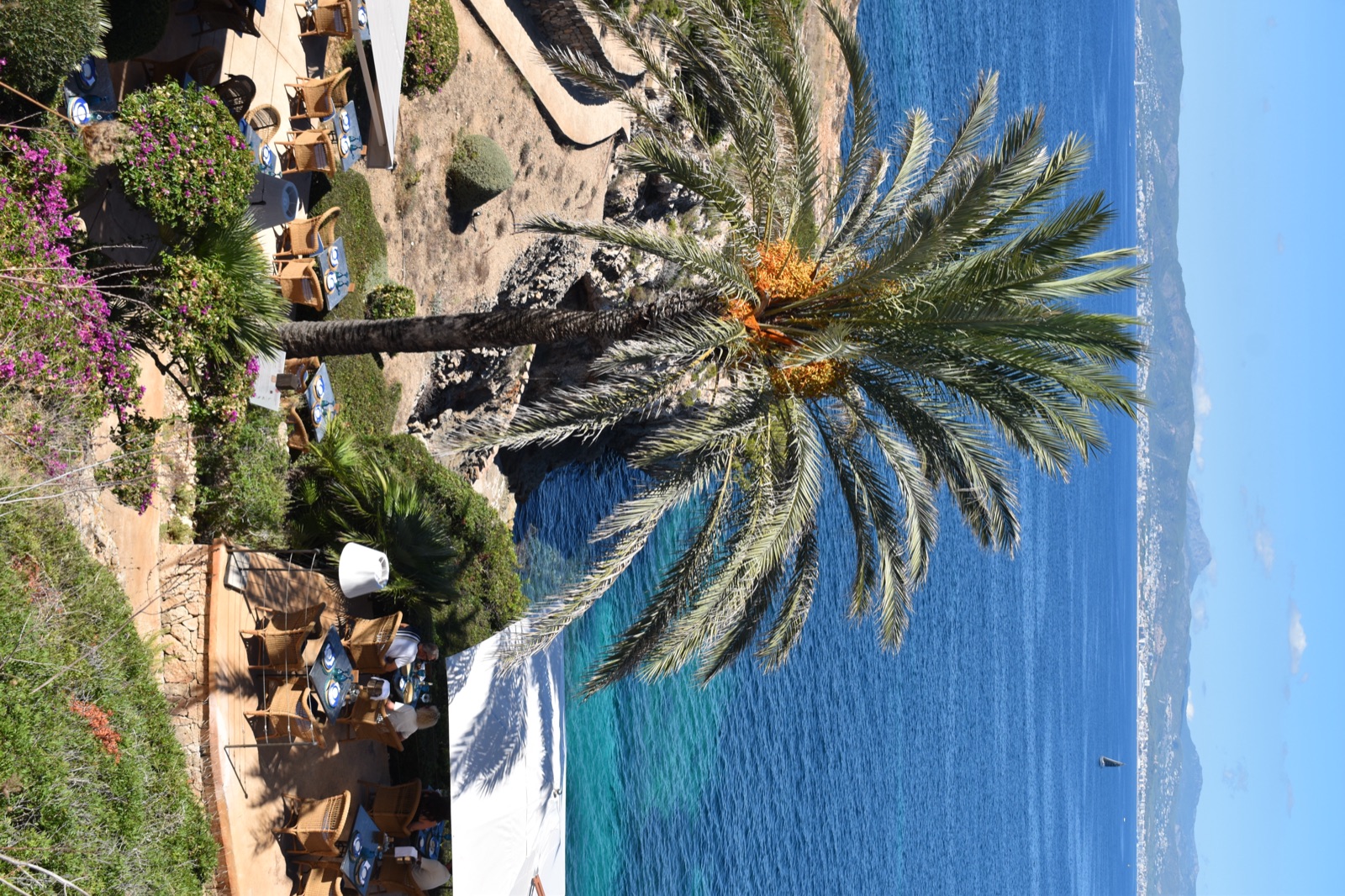 A palm over deep blue sea and a terrace restaurant in Mallorca.